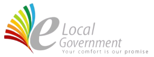 eLocal Government
