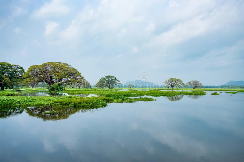 tissa lake